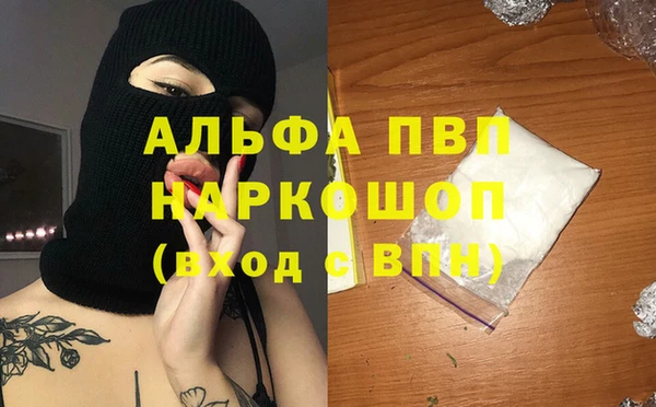 крисы Абаза
