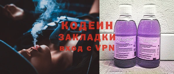 крисы Абаза