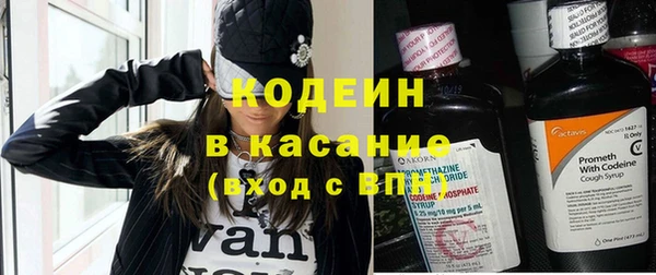крисы Абаза