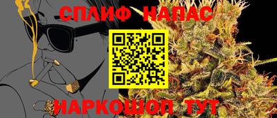 дживик Камышлов