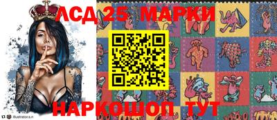 амф Кандалакша