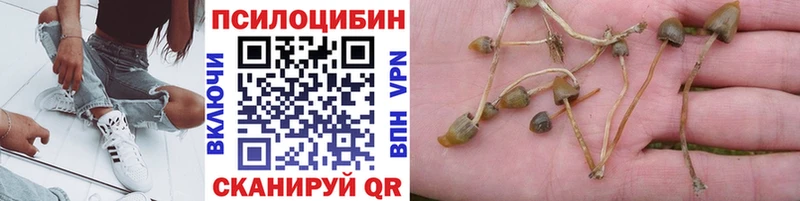 Псилоцибиновые грибы мухоморы  Тобольск 
