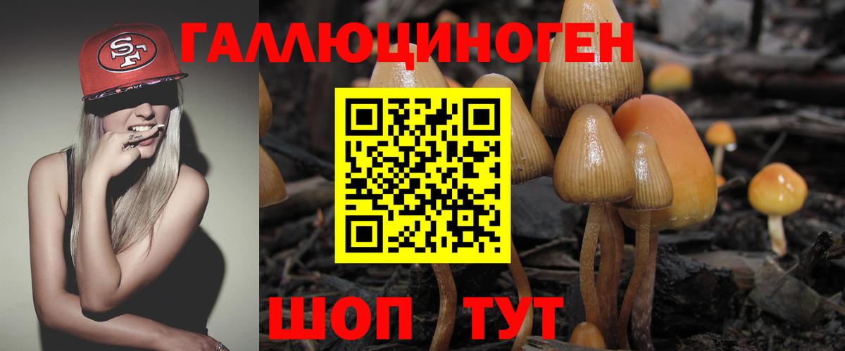 Тобольск  Галлюциногенные грибы мухоморы  Вход с VPN  что такое наркотик  Псилоцибиновые грибы Psilocybine cubensis 